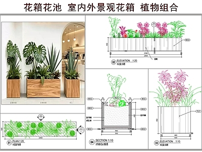 花卉配置 花箱花池 室内外景观花箱 植物组合 景观小品 绿植