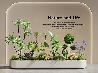 现代简约花境 室内景观 景观造景 庭院景观 植物堆 花草组合