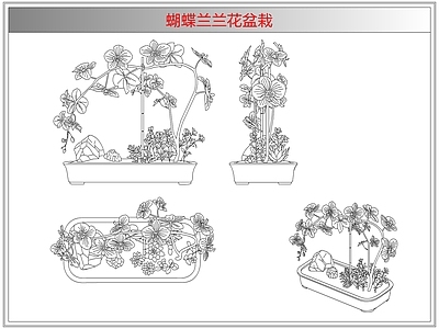 综合植物图库 蝴蝶兰兰花盆栽