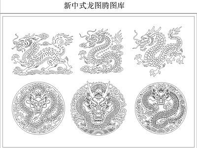 动物 龙