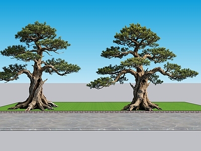 新中式景观乔木 2D植物 景观树罗汉松 绿化雕塑 绿植 绿化