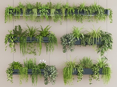 现代垂直绿化 植物吊灯 吊盆植物