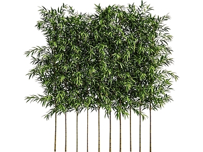 禅意竹子 2d竹子