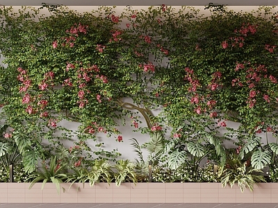 现代垂直绿化 绿植墙 藤蔓 蔷薇 爬墙植物 花池