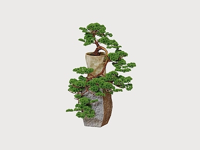 禅意盆栽