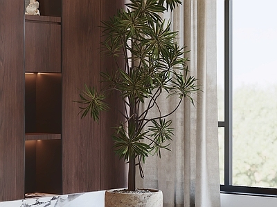 现代简约盆栽 盆栽 绿植 盆景 室内植物 植物摆件