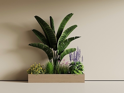极简植物组合 现代室内绿植 绿植箱 景观