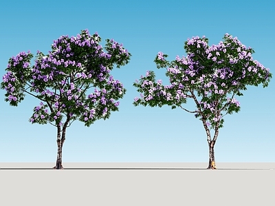 极简乔木 2d蓝花楹 景观树 乔木