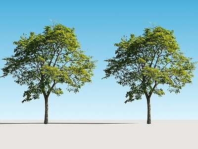 极简乔木 2d香樟树 乌桕树 景观树 大树 行道树
