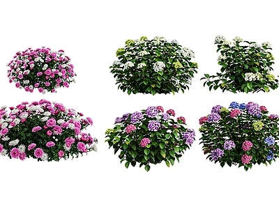 花草 灌木花草 绣球花 雏菊