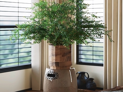 侘寂盆栽 盆栽 绿植 盆景 室内植物 植物摆件
