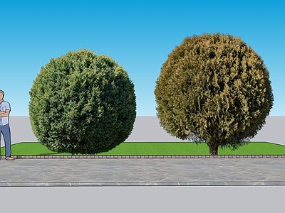 极简灌木 2D植物 球柏景观树 绿化雕塑 绿化 绿植