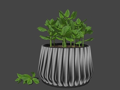 现代盆栽 薄荷 装饰摆件 盆栽 绿植