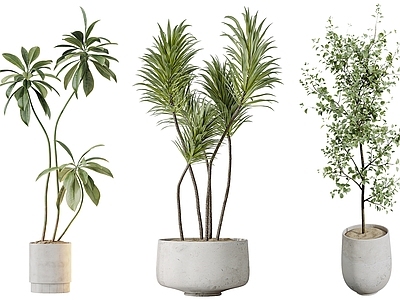 现代简约绿植摆件 现代植物盆栽 绿植摆件 室内植物 盆景盆栽