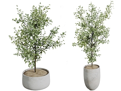 侘寂绿植摆件 现代绿植摆件 盆栽盆景 植物组合 室内植物