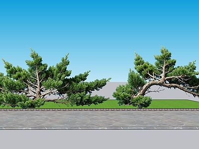 新中式景观灌木 2D植物 匍地柏景观树 绿化雕塑 绿植