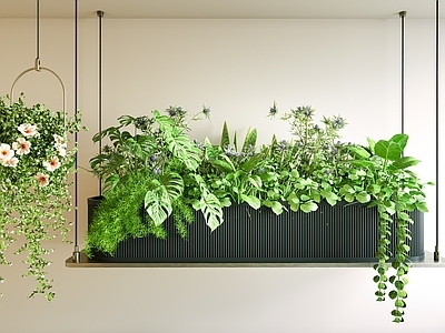 现代垂直绿化 吊灯花箱 花箱 吊篮绿植 植物吊饰 垂植物