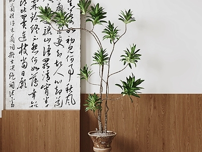 新中式盆栽 盆栽 绿植 盆景 室内植物 植物摆件