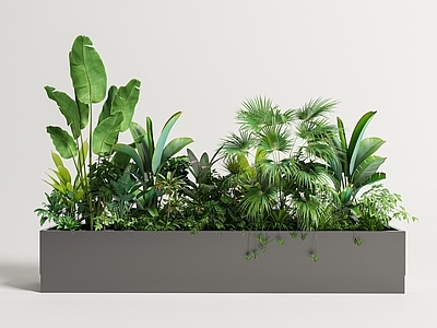 现代简约花箱 现代简约长条花槽 植物造景 绿植造景 长条花盆 热带绿植