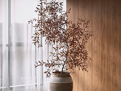 中古风盆栽 盆栽 绿植 盆景 室内植物 植物摆件