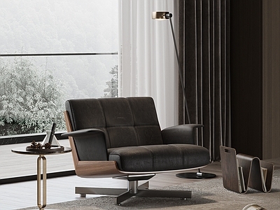 中古风单人沙发 MINOTTI DAIKI沙发 皮革沙发椅 休闲椅 落地灯