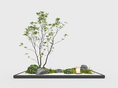 禅意室内景观 室内景观小品 植物景观