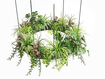 现代垂直绿化 圆形吊灯花箱 花箱 圆植物 植物吊灯 吊篮绿植