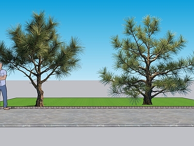 新中式景观乔木 2D植物 马尾松景观树 绿化雕塑 绿植 绿化