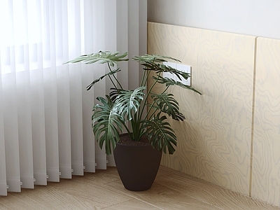 原木风盆栽 盆栽 绿植 盆景 室内植物 植物摆件