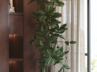 中古风盆栽 盆栽 绿植 盆景 室内植物 植物摆件