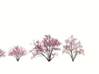 乔木2D 樱花树