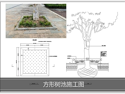 树池 方形树池施工图 树池 平树池 市政树池