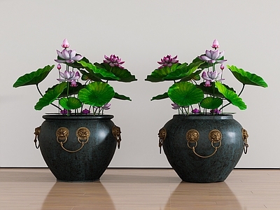 中式盆栽 荷花缸