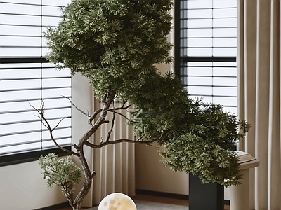 新中式盆栽 绿植 盆景 室内植物 植物摆件 观叶植物