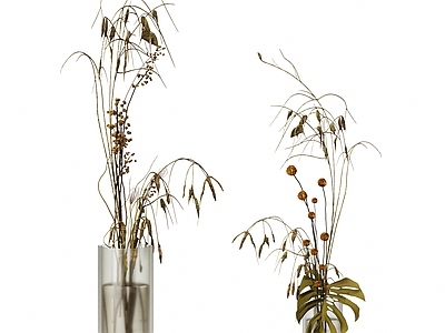 侘寂植物组合 水生植物花瓶 玻璃花瓶摆件 落地花瓶 装饰软装小品 花艺