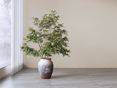 侘寂盆栽 盆栽花瓶花艺