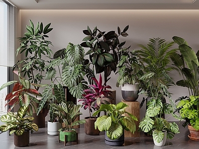 现代垂直绿化 植物盆栽 绿植 室内植物盆栽 落地盆栽 植物组合