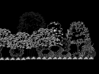 绿植 植物立面图 五层种植 绿化设计 种植设计