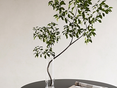极简绿植摆件 水培插花摆件 马醉木鲜切枝