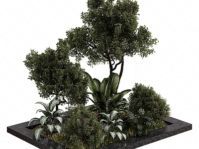 现代主义树池 植物堆 花池