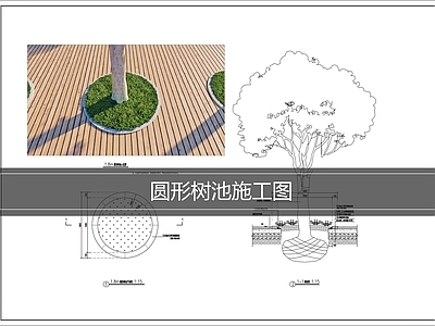 树池 圆形树池施工图 树池 石材树池
