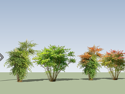 现代灌木 南天竹 新中式2d灌木 禅意庭院植物 丛生南天竺