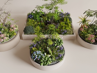 现代简约花境 花池 植物堆 绿植组合 花坛 绿植景观
