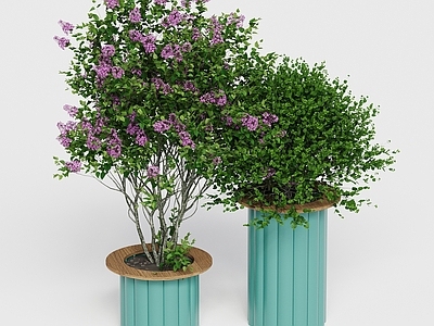 现代植物堆
