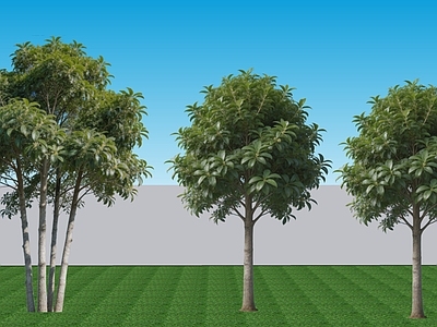 灌木 现代阔叶2D灌木 常绿灌木银桂 行道配植银桂 景观树造型树银桂