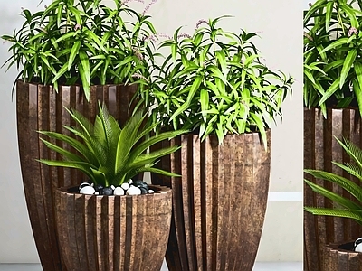轻奢盆栽 绿植 盆景 室内植物 植物摆件 观叶植物