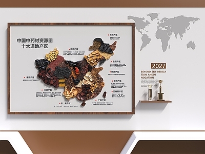 新中式文化墙 中药材展墙 地图挂件