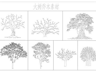 绿植 古树素材 乔木素材