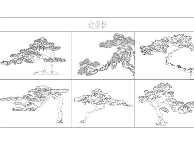 绿植 造型松 造型树 植物图块