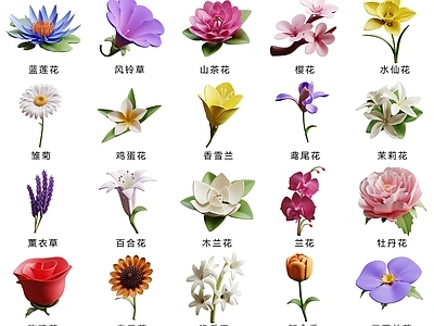 现代花 蓝莲花 山茶话 樱花 水仙花 牡丹花